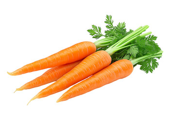 carrots on a white background