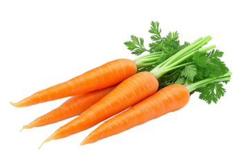 carrots on a white background