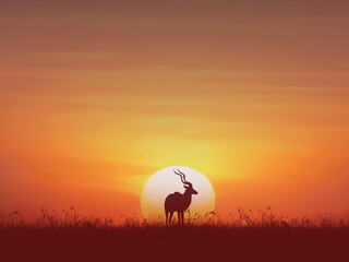 silhouette of a kudu in the sunset