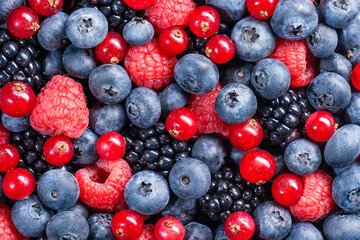 Various fresh berries raspberries, blackberries, blueberries, currants, cranberries in large quantities top view