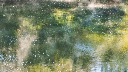 Thermal pools lakes puddles new zealand tokaanu steaming in nature beautiful forest bush
