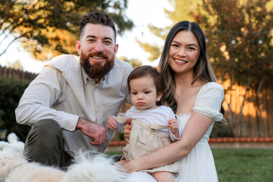 family portrait dogs