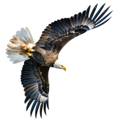 Fototapeta premium Stunning bald eagle in mid-flight with wings spread wide open, showcasing the beauty and majesty of this iconic bird of prey.
