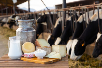 Fresh milk in glass carafe and cans, bowl with soft cottage cheese and various hard cheeses on...