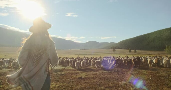 Young woman wearing a hat and poncho running with open arms, embracing a flock of sheep grazing in a vast, sunlit Mongolian steppe, surrounded by rolling hills and mountains