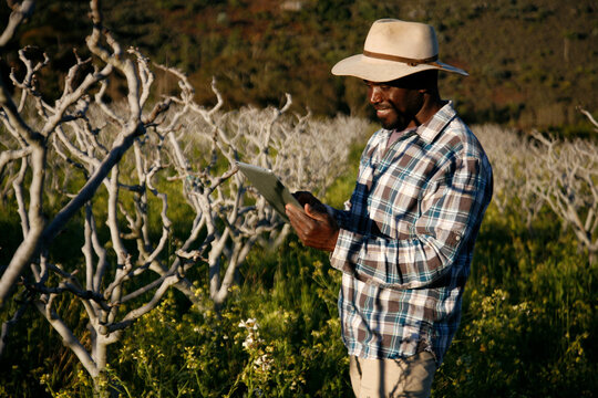 Farmer inspects a fruit crop using technology to keep keep record.
