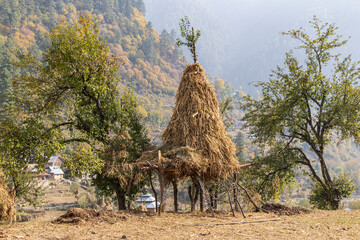 Wangath, Kangan, Jammu and Kashmir, India. An elevated hay stack in a village.