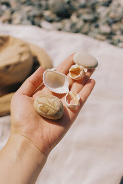 A handful of seashells