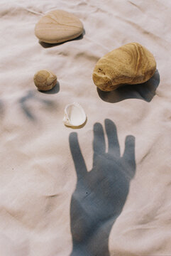 A seaside still life
