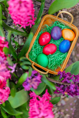 Easter eggs in a basket in hyacinth flowers in a spring garden.Top view.Easter holiday tradition.Spring religious holiday.