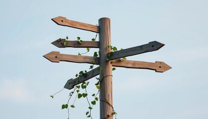 Rustic Wooden Signpost with Four Directions Vines and Clear Sky Background