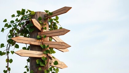 Wooden Signpost with Multiple Arrows Overgrown with Ivy Choice Concept