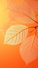 Obraz premium Backlit Leaves Reveal Intricate Veins on a Warm Orange Background
