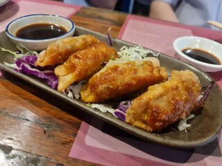 Gyoza , the Japanese food 