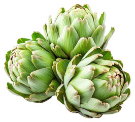 Obraz premium PNG Artichokes artichokes vegetable produce.