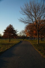 road in autumn