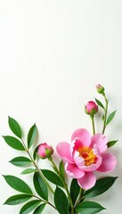 Fototapeta premium Soft white background with lush green foliage and delicate peony flowers, greenery, flowers