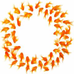 Goldfish Form a Circle on White Background, Creating a Lively and Decorative Frame.