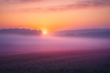 Fototapeta premium Misty Morning Landscape with Vibrant Colors over Serene Meadow Fields at Dawn