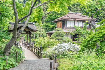 Color stock image of Japan, Yokohama. Sankei-en Garden