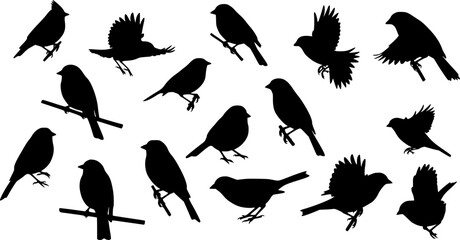 Obraz premium vector set, Bird silhouettes 