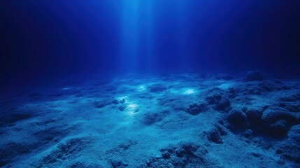 Fototapeta premium Sunbeams illuminate an underwater ocean floor.