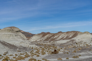 Lacustrine deposits are sedimentary rock formations which formed in the bottom of ancient lakes. Shoshone, Inyo County, California. Lake Tecopa is a former lake. Tecopa Lake Beds. 	Mojave Desert.
