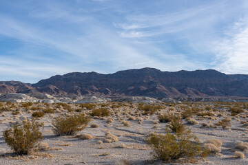 Lacustrine deposits are sedimentary rock formations which formed in the bottom of ancient lakes. Shoshone, Inyo County, California. Lake Tecopa is a former lake. Tecopa Lake Beds. 	Mojave Desert.
