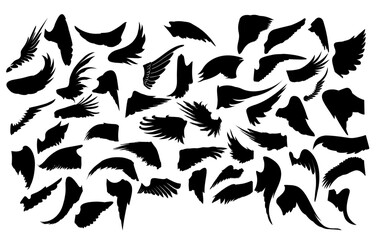 Wing Silhouette Collection: A captivating collection of diverse wing silhouettes, capturing the essence of flight, freedom, and creative design in a bold, monochromatic visual