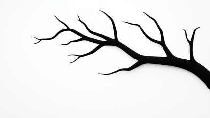 Obraz premium Black silhouette of a tree branch against white background