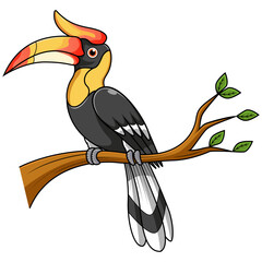 Cartoon hornbill on the branch