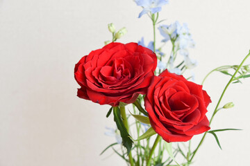 薔薇とデルフィニウム