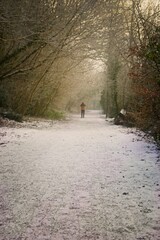 a person walking down a snow-covered path surrounded by bare trees. The scene is serene and quiet, with the path leading into a misty distance, creating a peaceful winter atmosphere
