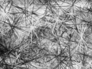 Abstrack background black and white star 