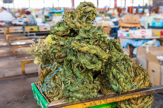 Armenia, Yerevan. Farmer's market. Braided sorrel, aveluk.