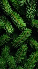 Close-up of Green Pine Branches
