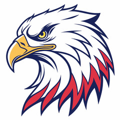 american bald eagle head