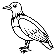 sketch of a bird