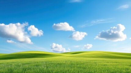 Obraz premium A large, open field with a blue sky and fluffy clouds