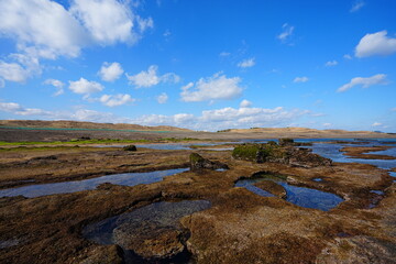 fine rock beach and clear water