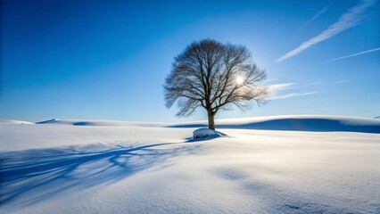 Stunning High-Contrast Winter Landscape: Minimalist Snowy Scene, Museum-Quality Image, Perfect for Print & Web