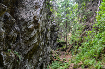 Explore a tranquil forest pathway winding through a stunning rocky gorge of Dovbush pantries surrounded by lush greenery offering an idyllic escape from urban life. Carpathians, Ukraine