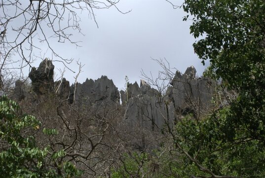 El estado Guarico es predominantemente verde.
Arboles,grandes espacios cultivados,llanuras y peque&ntilde;as monta&ntilde;as.