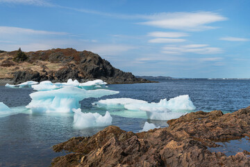 Icebergs and pack ice in Twillingate, Newfoundland and Labrador, Canada.