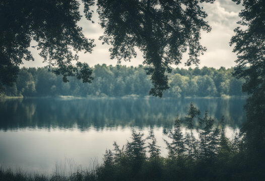 poland suwalszczyzna national park lake water blue wigry drone high polish licopter tree land coast fly shore bird green river serenity view swimming scenery