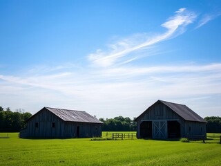 Obraz premium A peaceful rural landscape on a summer day, featuring rolling green fields, a clear blue sky, and a small wooden barn in the distance, serene, summer, blue sky