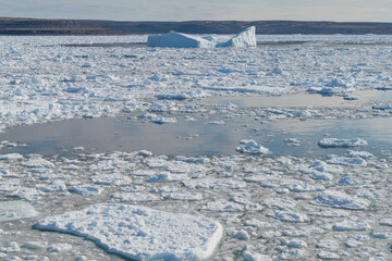 Pack ice and icebergs in Strait of Belle Isle, Newfoundland and Labrador, Canada. © Danita Delimont