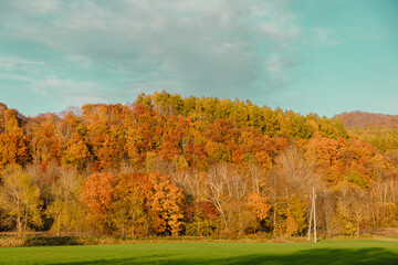 Naklejka premium 北海道晩秋の夕張の風景.