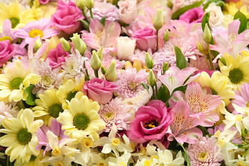 Delicate blooming festive alstroemerias and chrysanthemums, blossoming pink and yellow summer flowers bright background, bouquet floral card, selective focus, shallow focus