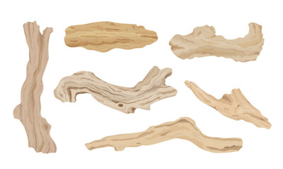 Set of driftwood illustration. Tree branches, wood sticks. Hand drawn vector.